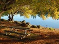 A picnic table near a lake. Royalty Free Stock Photo