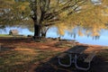 A picnic table near a lake. Royalty Free Stock Photo