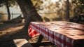 a picnic table with a red and white tablecloth Royalty Free Stock Photo