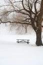 Picnic table in snow under a tree Royalty Free Stock Photo