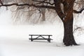 Picnic table in snow under a winter tree Royalty Free Stock Photo