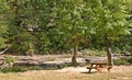 Picnic Table By the Stream in Early Autumn Royalty Free Stock Photo