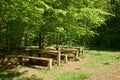 Picnic table under beech trees Royalty Free Stock Photo