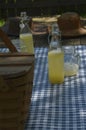 Picnic table with vintage picnic basket, blue checked table cloth Royalty Free Stock Photo