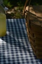 Picnic table with vintage picnic basket, blue checked table cloth Royalty Free Stock Photo