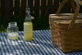 Picnic table with vintage picnic basket, blue checked table cloth Royalty Free Stock Photo