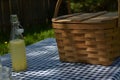 Picnic table with vintage picnic basket, blue checked table cloth Royalty Free Stock Photo