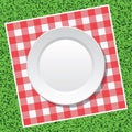 vector picnic tablecloth and empty plate Royalty Free Stock Photo