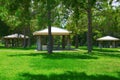 Picnic tables area in beautiful green grassy park