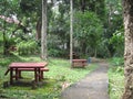 Picnic tables at Makiling botanical gardens, Philippines Royalty Free Stock Photo