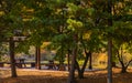 Picnic tables nestled under shade trees