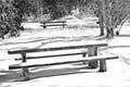 Picnic Tables in the Snow