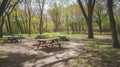 Picnic Tables in a Sun-Dappled Forest Clearing Royalty Free Stock Photo