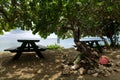 Picnic Tables in Tropical Setting