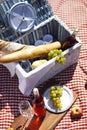 Picnic Time! food on blanket Royalty Free Stock Photo
