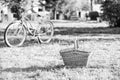 Picnic time. Vintage bike garden background. Rent bike to explore city. Nature cycling tour. Retro bicycle with picnic Royalty Free Stock Photo