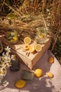 picnic in the wheat field. lemons, apricots, a wooden table on a blanket. lemonade in glasses. aesthetics of breakfast in nature.