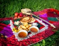 Picnic whit Kazakh traditional food Royalty Free Stock Photo