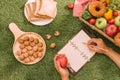 Picnic wicker basket with food, bread, fruit and orange juice on Royalty Free Stock Photo