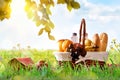 Picnic wicker basket with food on grass in the field Royalty Free Stock Photo