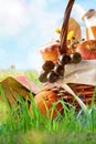 Picnic wicker basket with food on grass in field vertical Royalty Free Stock Photo