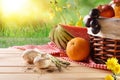 Picnic wicker basket with food on table in field closeup Royalty Free Stock Photo