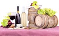 Picnic with wine and food Royalty Free Stock Photo