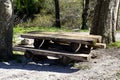 Picnic wooden table with benches in picnic area in park Royalty Free Stock Photo