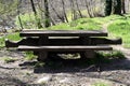 Picnic wooden table with benches in picnic area in park Royalty Free Stock Photo