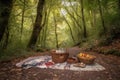 picnic in the woods, with picnic basket and blanket spread out on the ground