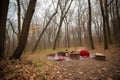 picnic in the woods, with picnic basket and blanket spread out on the ground