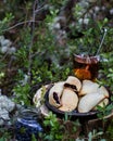 Picnic in the woods, blueberry pies and herbal tea.