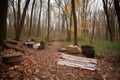 picnic in the woods, with picnic basket and blanket spread out on the ground