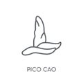 Pico cao linear icon. Modern outline Pico cao logo concept on wh