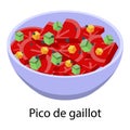 Pico de gaillot icon, isometric style