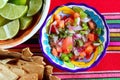 Pico de gallo tomato and chili Mexican sauce Royalty Free Stock Photo