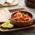 Pico de Gallo Royalty Free Stock Photo
