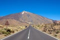 Pico del Teide mountain volcano summit in the background on a sunny day, Teide National Park, Tenerife, Canary Islands Royalty Free Stock Photo