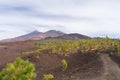 majestic volcano Teide Tenerife, view nearby from Mirador de Samara, Canary Islands Royalty Free Stock Photo