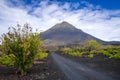 Pico do Fogo and vines in Cha das Caldeiras, Cape Verde Royalty Free Stock Photo