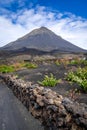 Pico do Fogo and vines in Cha das Caldeiras, Cape Verde Royalty Free Stock Photo