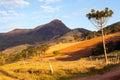 Pico do Papagaio - rocky mountain Royalty Free Stock Photo