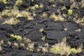 Pico island lava fields rocks