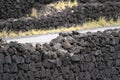 Pico island lava fields rocks