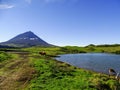 Pico mountain in background, view over lagoon and cows, Pico island, Azores