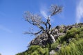 Pico Ruivo hiking, above clouds, amazing magic landscape, incredible views, sunny weather with low clouds, island Madeira, Portu