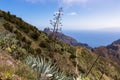 Pico Verde - Blooming agava cactus plant with scenic view of Atlantic Ocean coastline and Teno mountain range, Tenerife Royalty Free Stock Photo