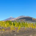 Pico Viejo and El Teide, El Teide National Park, Tenerife