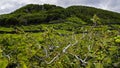 Pico - vineyards and little basalt walls, Azores