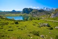 Picos de Europa Enol lake in Asturias Spain Royalty Free Stock Photo